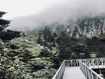 苍山-大理-山-树-森林 图片素材