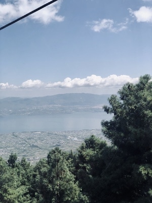 苍山-大理-风光-风景-树枝 图片素材
