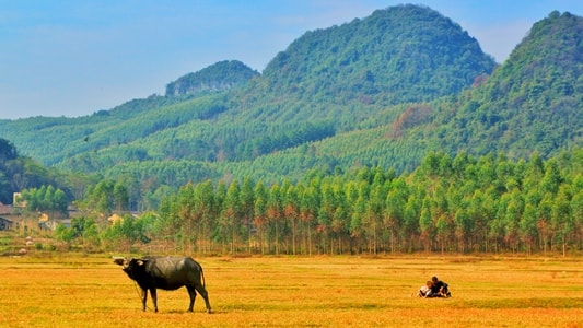 风光-自然-人文-纪实-风景 图片素材