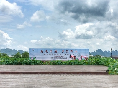 自然-生活-苹果机-广告牌-荷叶 图片素材