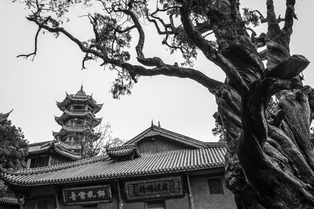 旅途-人文-纪实-随拍-练习 图片素材