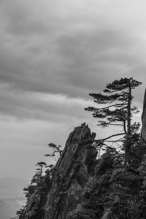 旅途-风光-随拍-三清山-松 图片素材