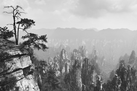 张家界-风光-张家界-风光-风景 图片素材