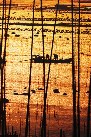旅途-人文-记录-渔船-船 图片素材
