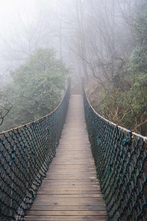 莫干山-阴雨天-旅游-风景-桥 图片素材