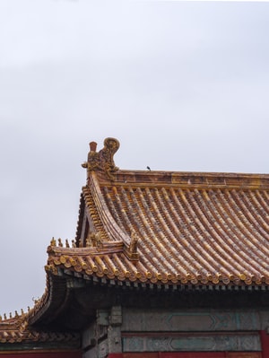 故宫-古建筑-色彩-阴雨天-鸟 图片素材