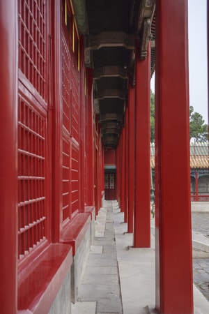 故宫-古建筑-色彩-阴雨天-鸟 图片素材