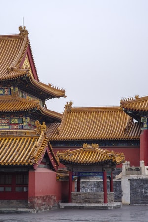 故宫-古建筑-色彩-阴雨天-鸟 图片素材