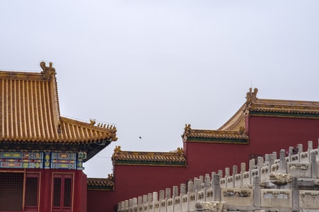 故宫-古建筑-色彩-阴雨天-鸟 图片素材