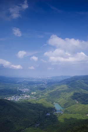 风光-宜兴-竹海-夏天-自然 图片素材