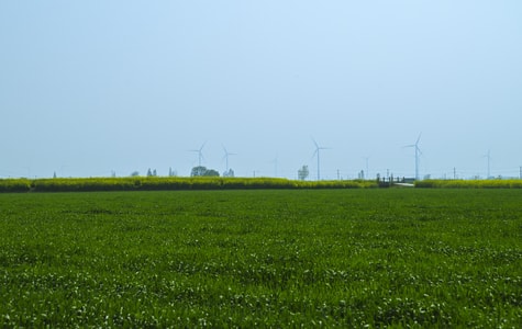 春天-麦田-风力发电-兴化-宾得 图片素材