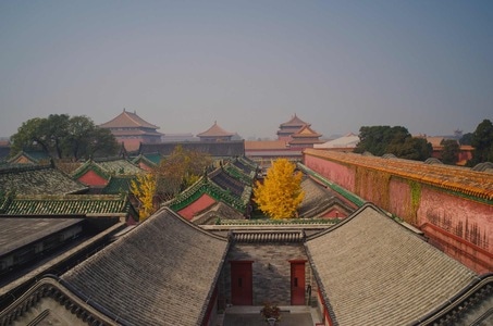银杏黄了-秋天-银杏-故宫-北京 图片素材