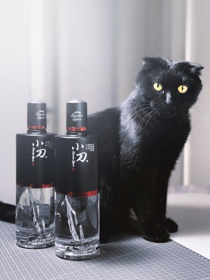 喵喵-猫猫-喵-猫-喵星人 图片素材