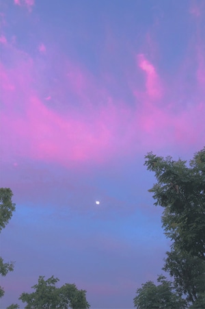 嘉兴市-落日-夕阳-天空-夏天 图片素材