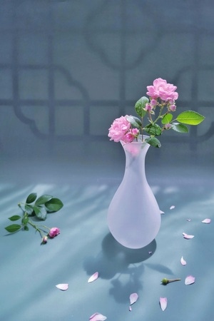 诗情画意-花开-清幽-唯美-手机 图片素材