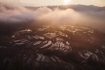 旅行-元阳梯田-风景-风光-自然风光 图片素材