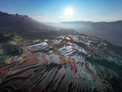 旅行-元阳梯田-风景-风光-自然风光 图片素材