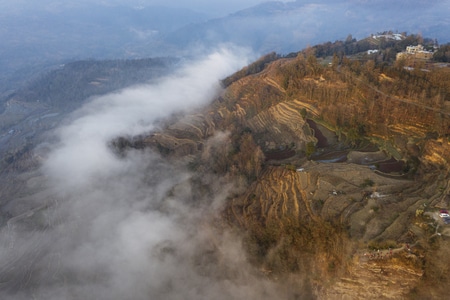 旅行-元阳梯田-风景-风光-自然风光 图片素材