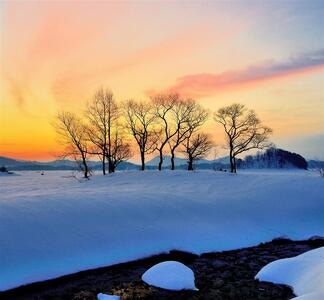 冬日暖阳-曙光-自然-雪景-雪景 图片素材