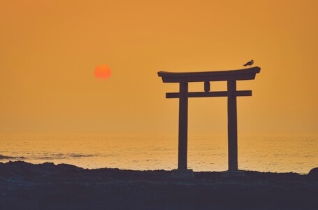 旅行-趣味-日本-鸟居-日出 图片素材