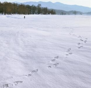 我的2019-旅行-日本-脚印-雪景 图片素材