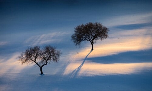 风光-冬雪-风景-雪地-雪景 图片素材