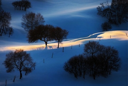 风光-冬雪-风景-雪景-树 图片素材