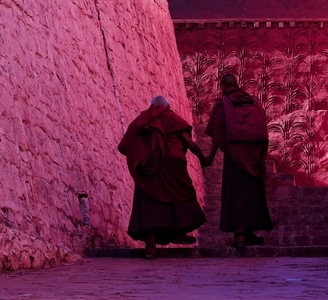 背影-扎什伦布寺-僧侣-拉手-西藏 图片素材