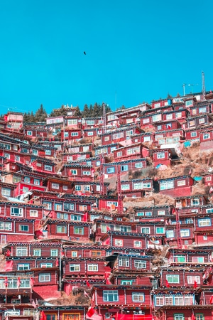 佛学院-红色房子-川西高原-阿坝-甘孜 图片素材
