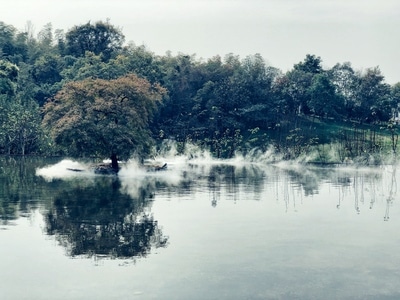 手机-手机摄影-iphonex-南京-风景 图片素材