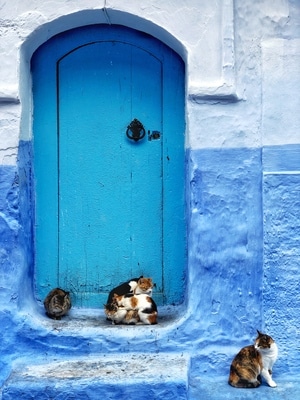 蓝-蓝城-摩洛哥-街拍-旅拍 图片素材