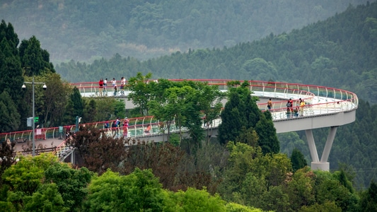 成都龙泉-森林公园-风光-森林公园-风景 图片素材