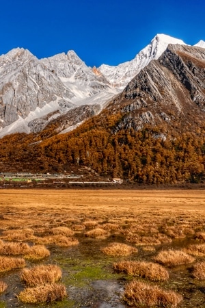 高原-风光-草地-牧场-风景 图片素材