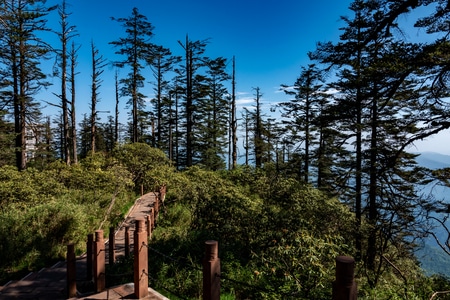 行游天下-瓦屋山-风光-森林公园-风景 图片素材