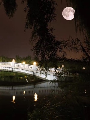 西南财经大学-桥-夜色-夜景-拱桥 图片素材