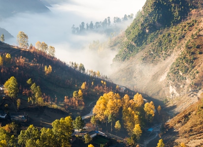 彝乡秘境-美景-风光-美姑-采竹 图片素材