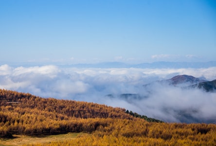 彩林-云海-美姑-风景-风光 图片素材