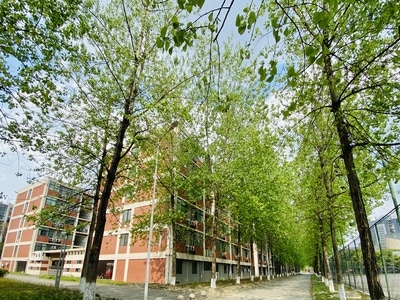 西南财经大学-风景-校园-西财-大学 图片素材