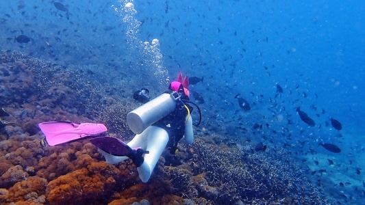 潜水-水肺潜水-巴厘岛-旅行-水下摄影 图片素材