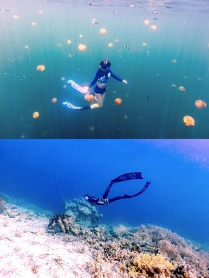 旅行-潜水-水下摄影-自由潜-海岛 图片素材