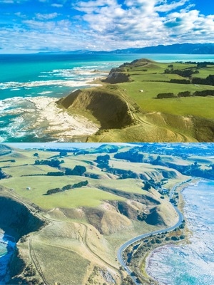 旅游-新西兰-新西兰旅游-鲸鱼-海豚 图片素材