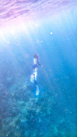 菲律宾旅行-自由潜-潜水-旅行-墨宝 图片素材
