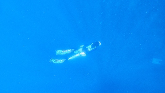菲律宾旅行-自由潜-潜水-旅行-墨宝 图片素材