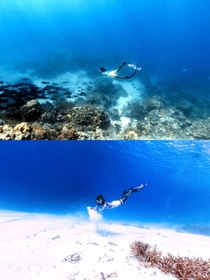 旅行-潜水-水下摄影-自由潜-海岛 图片素材