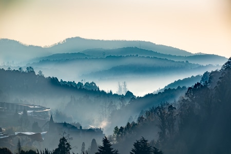 柳树-春天-山水-暖阳-城市 图片素材
