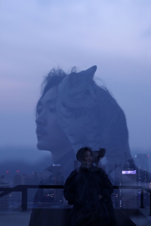 双重曝光-猫-蓝调-傍晚-动物 图片素材
