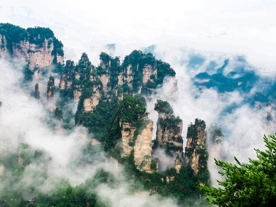 设计的力量-设计-绿意-壁纸-风景 图片素材