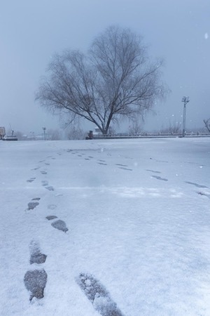 风光-雪景-水-风景-雪景 图片素材