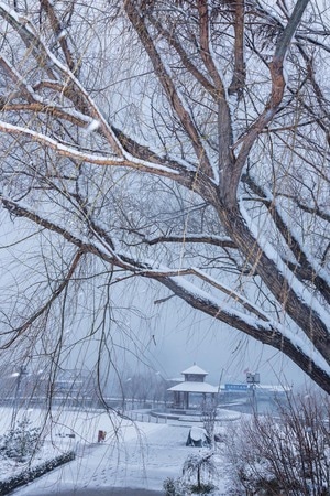 风光-雪景-水-风景-雪景 图片素材