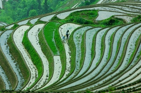 纹理-自然-生态-风光-阳光 图片素材